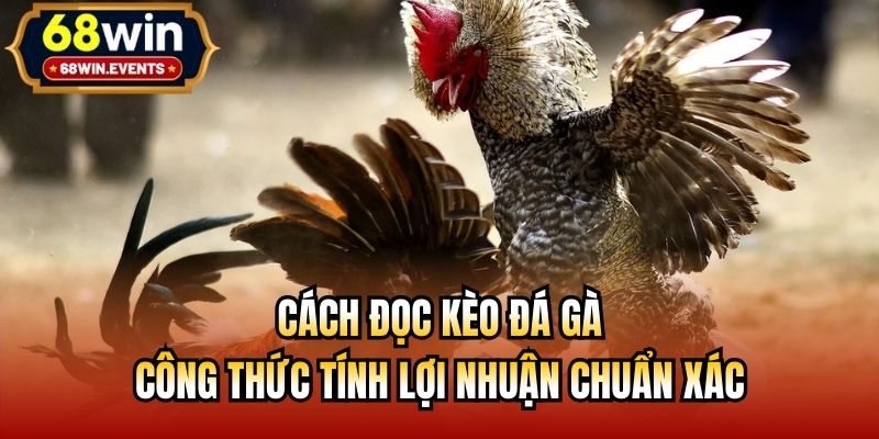 Cách Đọc Kèo Đá Gà | Công Thức Tính Lợi Nhuận Chuẩn Xác
