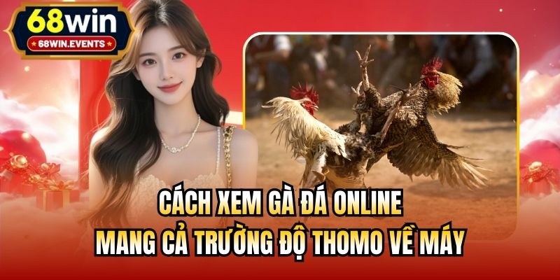 Cách Xem Gà Đá Online - Mang Cả Trường Độ Thomo Về Máy
