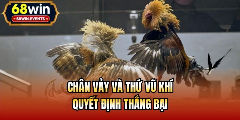Chân vảy và thứ vũ khí quyết định thắng bại