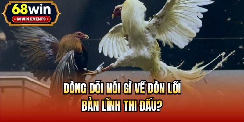 Dòng dõi nói gì về đòn lối, bản lĩnh thi đấu?