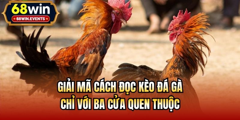 Giải mã cách đọc kèo đá gà chỉ với ba cửa quen thuộc