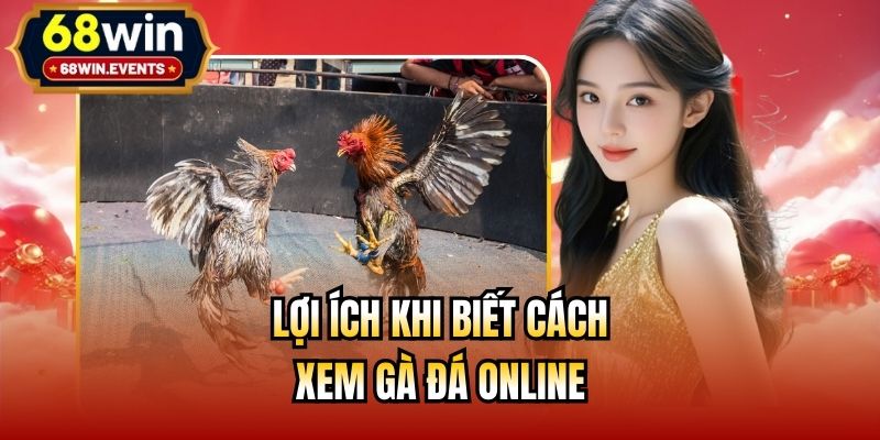 Lợi ích khi biết cách xem gà đá online